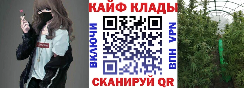 Купить закладку Гашиш  Канабис  АМФ  Меф мяу мяу  БУТИРАТ  Alpha PVP  Лениногорск
