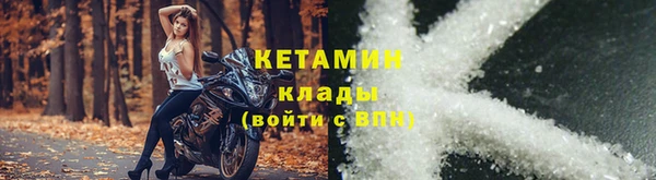 амф Дмитриев