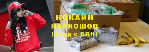 амф Дмитриев