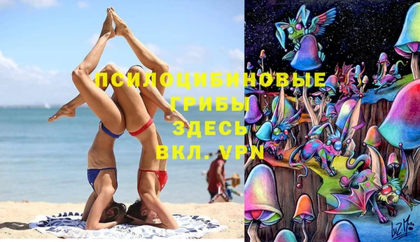 гашишное масло Гусев