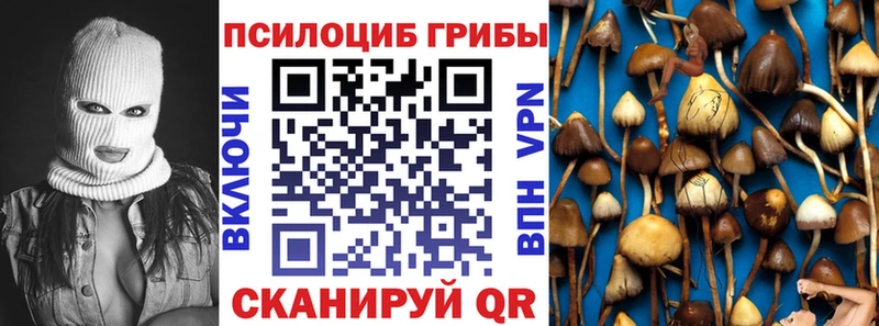 Купить где  Лениногорск  Псилоцибиновые грибы MAGIC MUSHROOMS 
